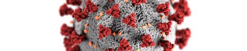 Coronavirus Coronavirus