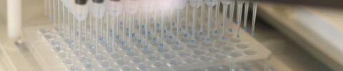 Pipettierhilfe
