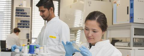 Hepatitisforschung Hepatitisforschung