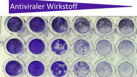 Antiviraler Wirkstoff