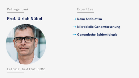 Visitenkarte Nübel