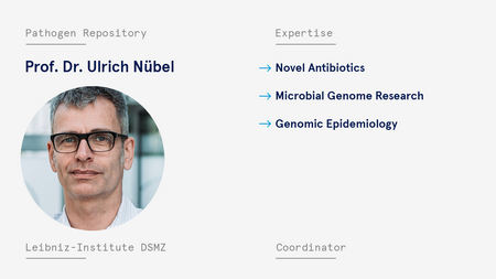 Business Card Nübel