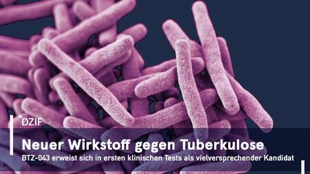 Erfolgreiche Translation im DZIF: Neuer Wirkstoff BTZ-043 gegen Tuberkulose