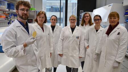 The seven members of the "Phages" working group stand next to each other in white lab coats in a DSMZ research laboratory. Johannes Wittmann and Christine Rohde, who head the EVREA phage project at the DZIF, are on the left of the picture. Mr Wittmann is holding a Petri dish in his hand.