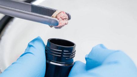 A pair of blue-gloved hands holds a pair of tweezers holding a small, frozen, pink piece of tissue over a black container.
