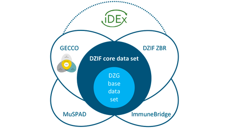 Diagram showing the DZIF core dataset and the four data collections taken into account from GECCO, DZIF ZBR, MuSPAD and ImmuneBridge. In the center is a dark blue circle with the label “DZIF core dataset” and a light blue circle with “DZG basic dataset”. The four other data collections overlap with the central data set, indicating a common data basis. The “IDEx” logo is integrated above the diagram, connected by a dashed line.