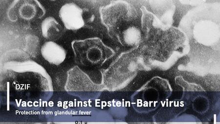 Vaccine against Epstein-Barr virus: Click on the picture to learn more about the project.