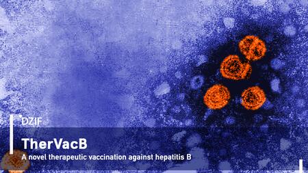 Successful translation at the DZIF: TherVacB offers a new therapeutic approach to cure chronic hepatitis B..