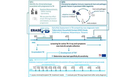The illustration summarises the different work packages and the planned measurement points for the study. 