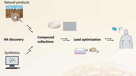 Pipeline für neue Antibiotika