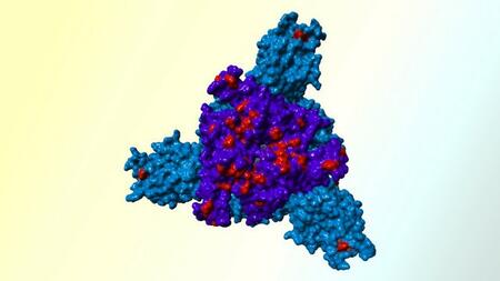 Spike protein of the Omicron variant