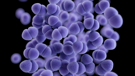 This illustration depicts a three-dimensional (3D) computer-generated image of a cluster of paired, or diplococcal, vancomycin-resistant Enterococcus (VRE) bacteria. 