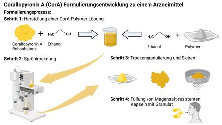 Grafische Darstellung der Formulierungsentwicklung von Corallopyronin A zu einem Arzneimittel