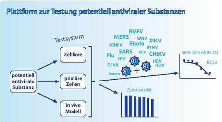 Testplattform für antivirale Substanzen