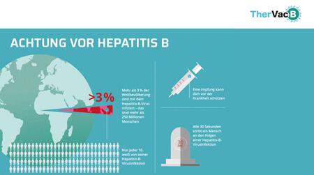 Der Hepatitis B-Infoflyer des TherVacB Konsortiums bündelt wertvolle Informationen
