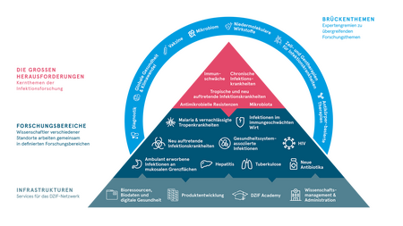 Grafische Pyramide zur Struktur der Infektionsforschung am DZIF.
