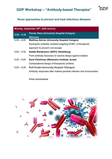 6. Brückenthema-Workshop "Antikörper-basierte Therapien"