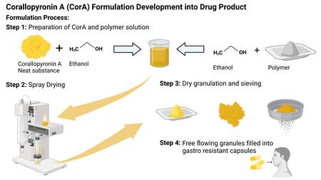 Graphic description of the formulation development of corallopyronin A into a drug product