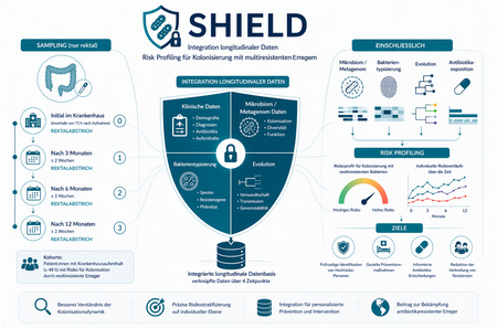 Infografik zum Projekt R-Net SHIELD. Dargestellt wird die zwölfmonatige Nachverfolgung von Krankenhauspatientinnen und -patienten zur Untersuchung von Risikofaktoren für Besiedlungen mit multiresistenten Erregern. Klinische, mikrobiologische und genomische Daten werden in einer longitudinalen Datenbank zusammengeführt, um individuelle Risikoprofile und Ansätze zur Prävention und Bekämpfung antimikrobieller Resistenzen zu entwickeln.