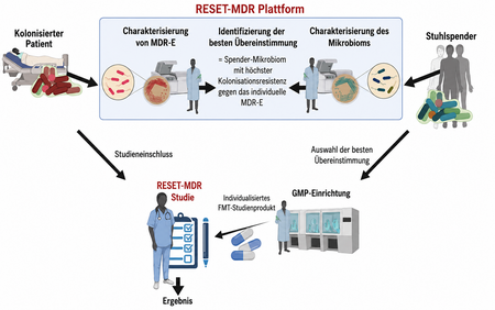 Schematische Darstellung der RESET-MDR-Plattform zur Entwicklung individualisierter fäkaler Mikrobiota-Transplantationen (FMT) für Patient:innen mit multiresistenten Erregern (MDR-E). 