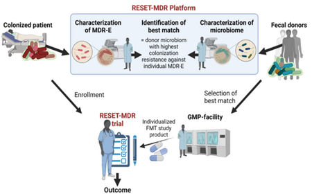 Schematic overview of the RESET-MDR platform for the development of individualized fecal microbiota transplantation (FMT) approaches targeting patients colonized with multidrug-resistant organisms (MDR-E). 