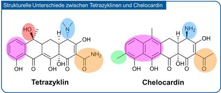 Structural differences between Tetracycline and Chelocardin