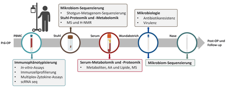 Schema des medizinischen Studienprotokolls von TIARA-Impact. Von links nach rechts werden präoperative, perioperative und postoperative Zeitpunkte gezeigt. An mehreren Zeitpunkten werden Blut-, Stuhl-, Wund- und Nasenproben entnommen. Die Abbildung verknüpft die Probenarten mit verschiedenen Analysen, darunter Immunzellprofilierung, Zytokinmessungen, Einzelzell-RNA-Sequenzierung, Metagenom-Sequenzierung, Proteomik, Metabolomik sowie mikrobiologische Untersuchungen.