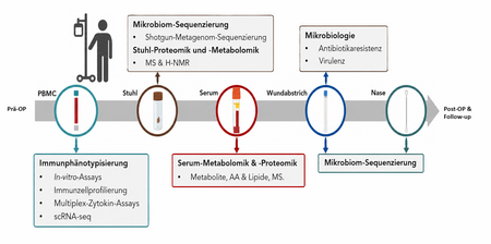 Schema des medizinischen Studienprotokolls von TIARA-Impact. Von links nach rechts werden präoperative, perioperative und postoperative Zeitpunkte gezeigt. An mehreren Zeitpunkten werden Blut-, Stuhl-, Wund- und Nasenproben entnommen. Die Abbildung verknüpft die Probenarten mit verschiedenen Analysen, darunter Immunzellprofilierung, Zytokinmessungen, Einzelzell-RNA-Sequenzierung, Metagenom-Sequenzierung, Proteomik, Metabolomik sowie mikrobiologische Untersuchungen.