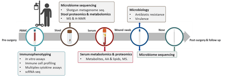 Graphic showing the TIARA-Impact clinical trial protocol. From left to right, the preoperative, perioperative, and postoperative time points are shown. Blood, stool, wound, and nasal samples are collected at various time points. The figure links the sample types to various analyses, including immune cell profiling, cytokine measurements, single-cell RNA sequencing, metagenome sequencing, proteomics, metabolomics, and microbiological testing.