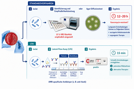 Vergleich der Standarddiagnostik und eines Lateral-Flow-Assays (LFA) zum Nachweis von Vancomycin-Resistenz bei Enterococcus faecium. Der LFA soll Ergebnisse in 15 Minuten statt nach 12–20 Stunden liefern.