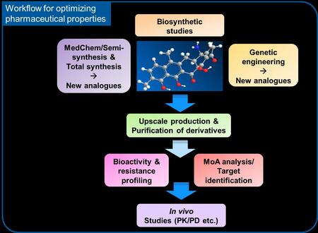 Workflow for optimizing pharmaceutical properties