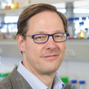 Harald Groß