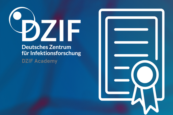 DZIF Academy Ausschreibung 2025