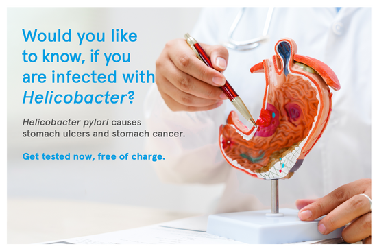 Doctor pointing at an anatomical model of the stomach to illustrate a Helicobacter pylori infection.