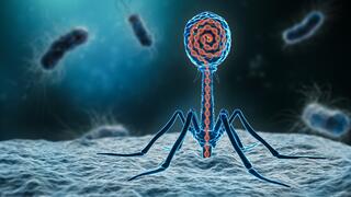 Computer-generated image of a phage attached to the surface of a bacterial cell and injecting its DNA into the cell. 