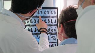 Multi-layered images of lungs help diagnosis and therapy.