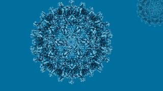 Hepatitis B Virus Core Capsid