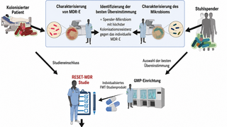 Schematische Darstellung der RESET-MDR-Plattform zur Entwicklung individualisierter fäkaler Mikrobiota-Transplantationen (FMT) für Patient:innen mit multiresistenten Erregern (MDR-E). 