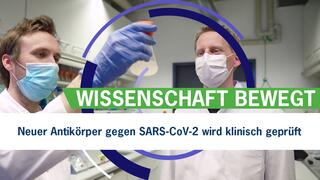 Ein Antikörper gegen SARS-CoV-2