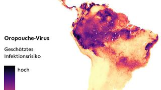 Karte Südamerikas mit unterschiedlich eingefärbten Gebieten in Abhängigkeit vom Risiko einer Infektion mit dem Oropouche Virus.