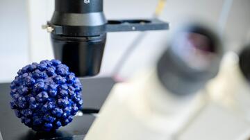 Model of a hepatitis E virus particle