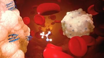 Acetat aktiviert das Immunsystem