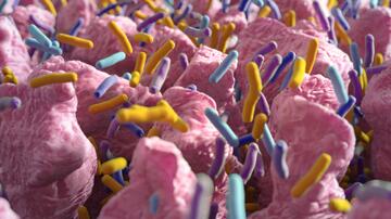 Illustration of the intestinal epithelium with bacteria