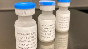 Three small refrigerated glass bottles with labels indicating their contents.