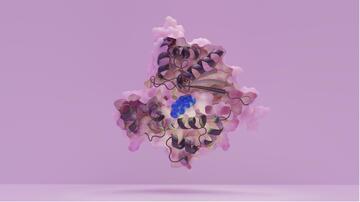 3D model of the molecular structure of the pathoblocker HilD