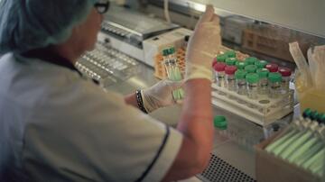 Processing of sputum samples for the culture of Mycobacterium tuberculosis and drug-resistance testing in the tuberculosis lab in Riga.