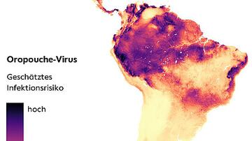 Karte Südamerikas mit unterschiedlich eingefärbten Gebieten in Abhängigkeit vom Risiko einer Infektion mit dem Oropouche Virus.