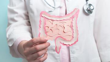 Paper model of the human intestine, held by a person with a doctor's coat and stethoscope. This is a stock image.