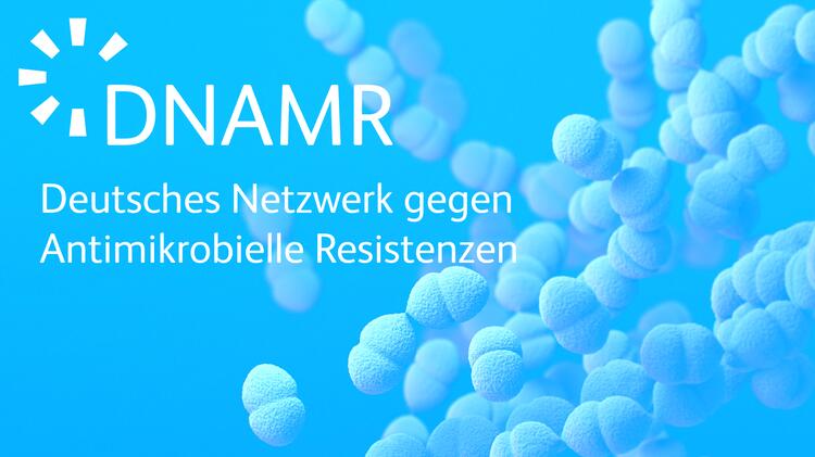 Logo des DNAMR in weiß auf einem elektronenmikroskopischen Bild von Pneumokokken im Hintergrund