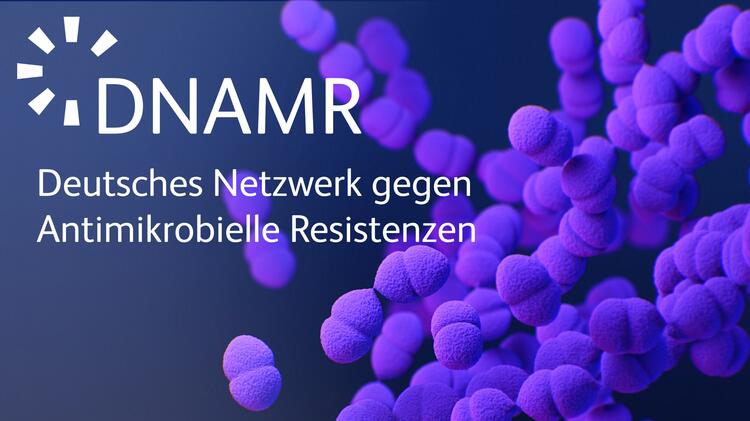 Logo des DNAMR in weiß auf einem elektronenmikroskopischen Bild von Pneumokokken
